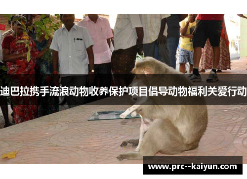 迪巴拉携手流浪动物收养保护项目倡导动物福利关爱行动